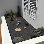 Casa De Pajaritos. *