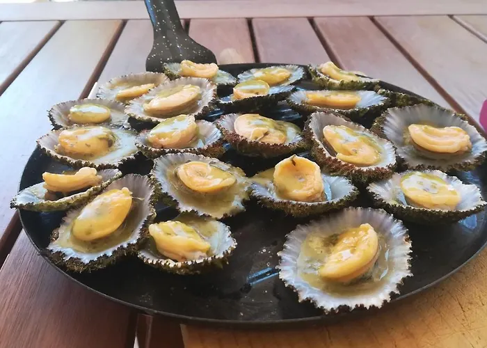 Casa De Pajaritos. *