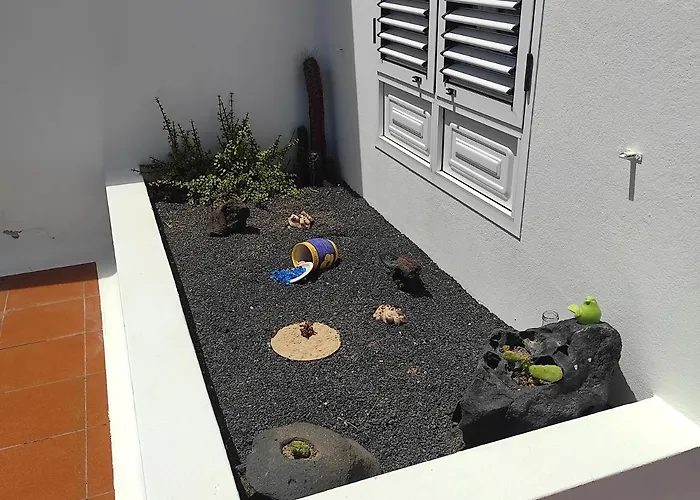 Casa De Pajaritos. *