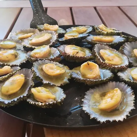 Casa De Pajaritos. *