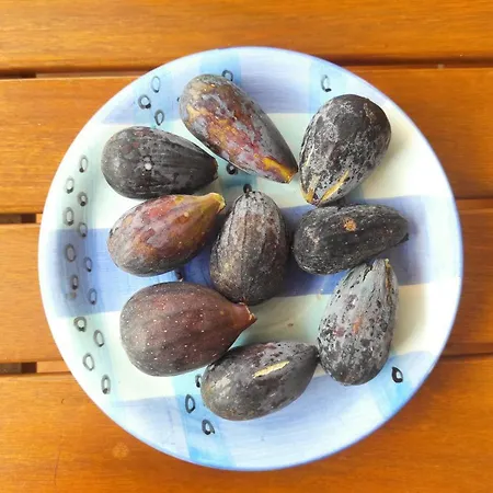 Вилла Casa De Pajaritos. Чарко-дель-Пало