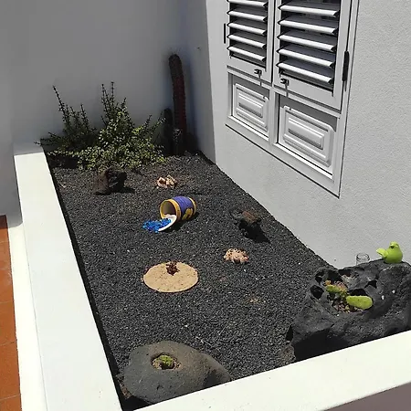 Casa De Pajaritos. *