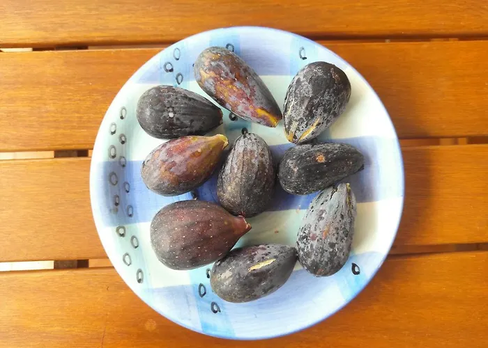 别墅 Casa De Pajaritos. 查德尔帕罗奥