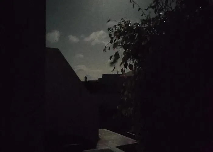 Casa De Pajaritos. * 查德尔帕罗奥